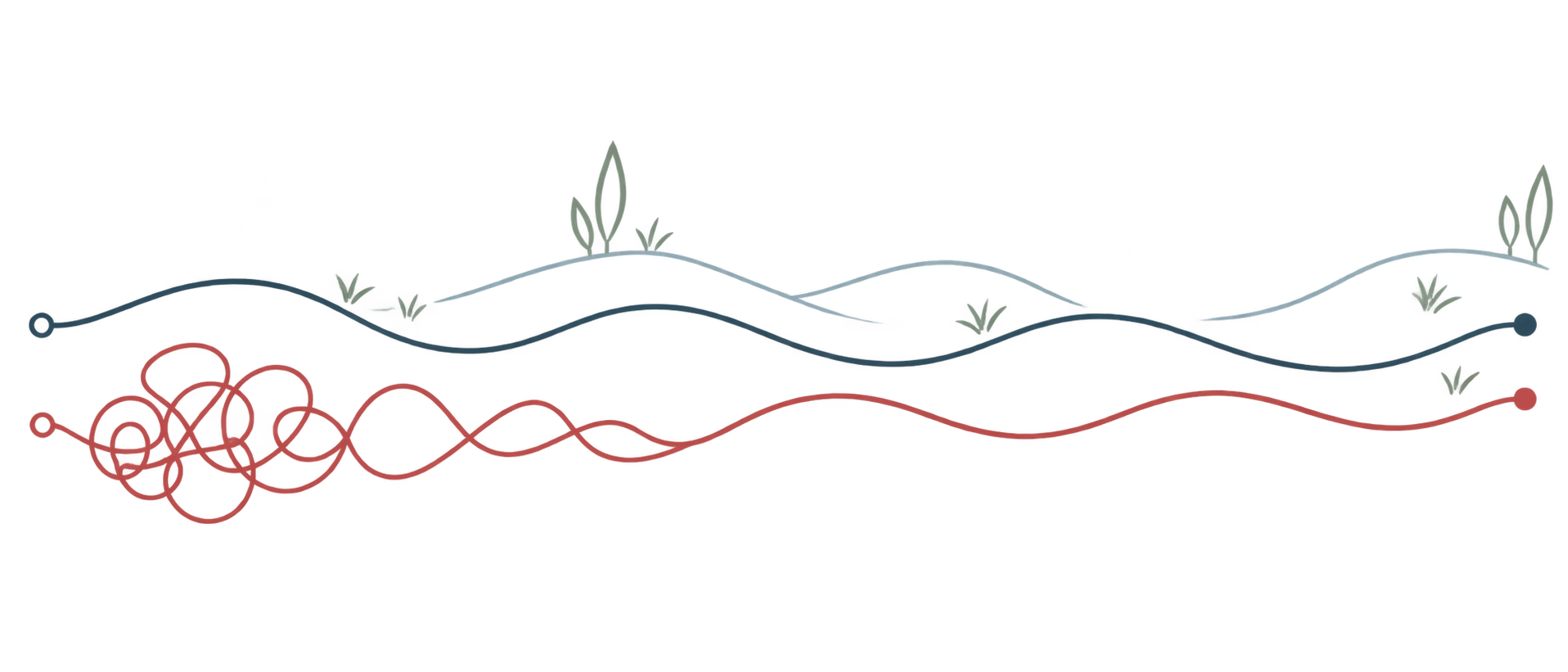 Walk and Talk illustrated lines